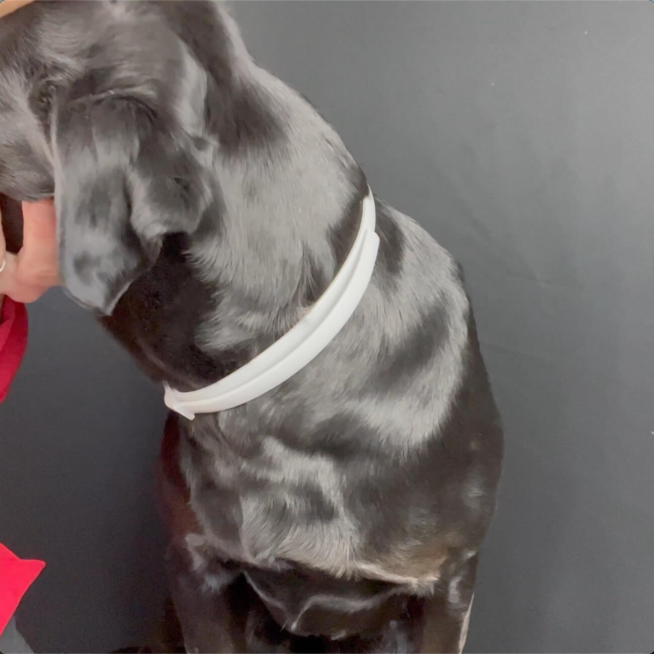 The Evidence Points One Direction. So Does This Recommendation.